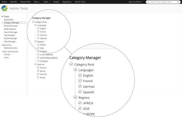 Category Manager image example