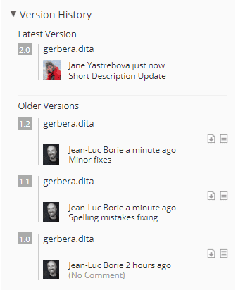 Life Cycle Management Versioning Example
