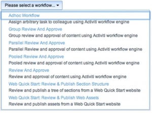 Life Cycle Management Workflow semection page example